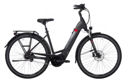 Pegasus Premio Evo 5NR Tiefeinsteiger 625Wh Black Matt