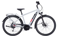 Pegasus Solero Evo 9 Diamant 625Wh Cool Grey