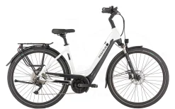 Pegasus Strong Evo 10K Tiefeinsteiger 625Wh Metallic Off White/black Matt