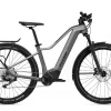 Flyer Goroc2 2.10 Diamant 750Wh Cast Silver/Black Gloss