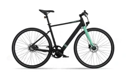 Tenways CGO600 Diamant 252Wh Black Green 2023